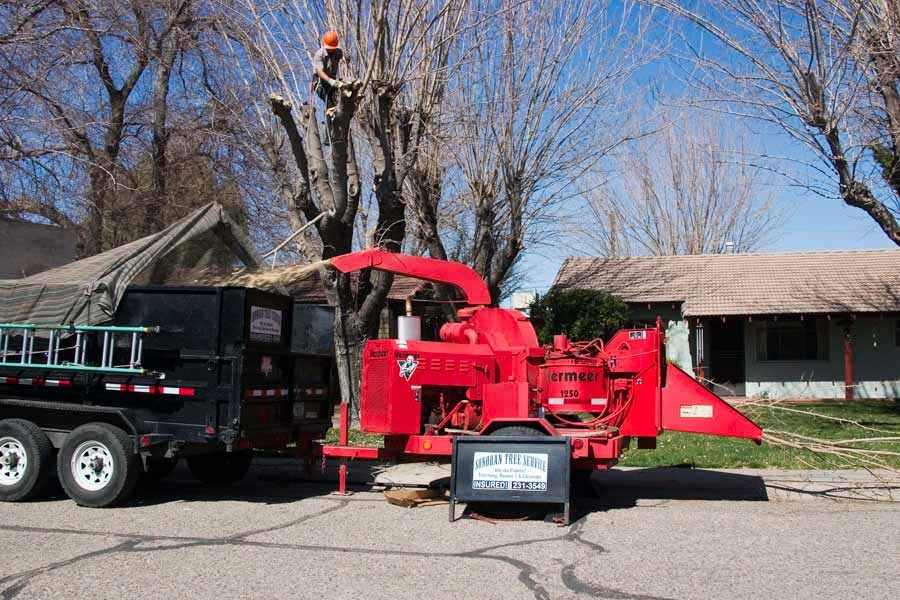 Wood Chippers Tree Care Tips