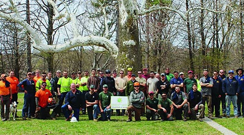 3 Ways To Celebrate Arbor Day - Tree Care Tips