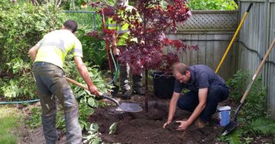Plant Health Care and Trees Plant Health Care and Trees