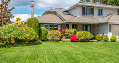 PHC Is Health Insurance for Your Trees and Shrubs home with healthy trees and shrubs