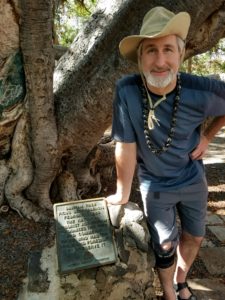 Tree Care Industry Association (formerly NAA) plaque at Lahaina Banyan tree