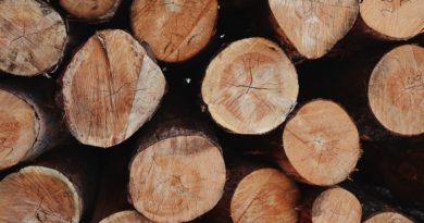 Tree-Growth Rings Reveal Ancient History Tree-Growth Rings Reveal Ancient History