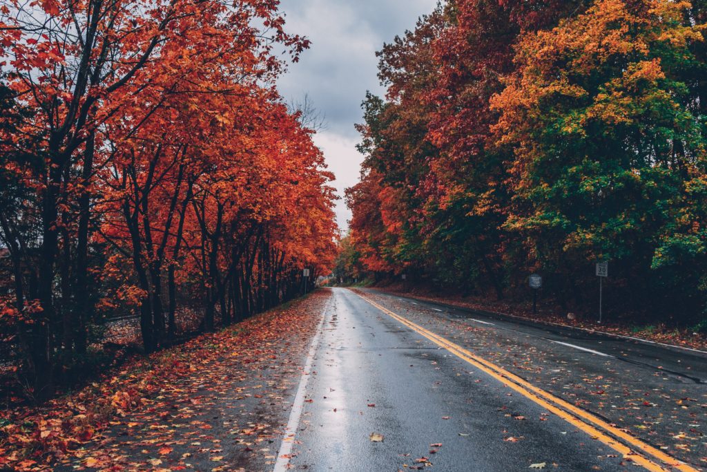 Fall Foliage Maps | Tree Care Tips