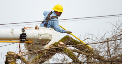 Arborist Environmental Stewardship in Vegetation Management Arborist Environmental Stewardship in Vegetation Management