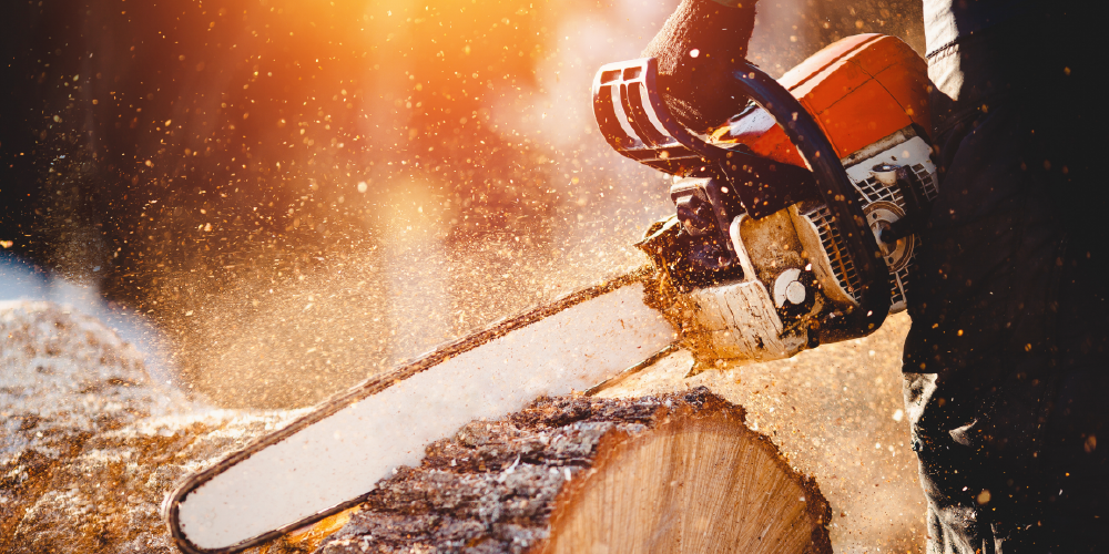 The Tree Professional’s Guide to Chain Saw Repair and Maintenance