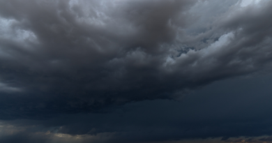 Hurricane Season: Look Up Before the Storm Hurricane Season: Look Up Before the Storm