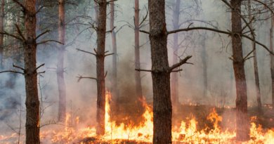 Don’t Fuel the Fire! wild fire